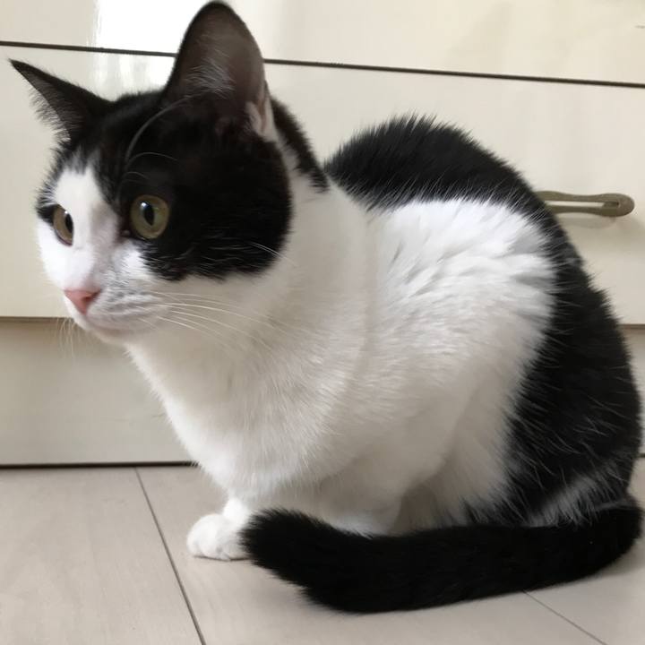 C4d6bb5f 949b 485d 9256 33ebfafcb508 1511762652168