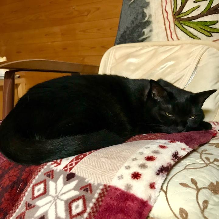 C4d6e83e 5dd2 4452 a98f 1ef3b0d226b8 1543902709752