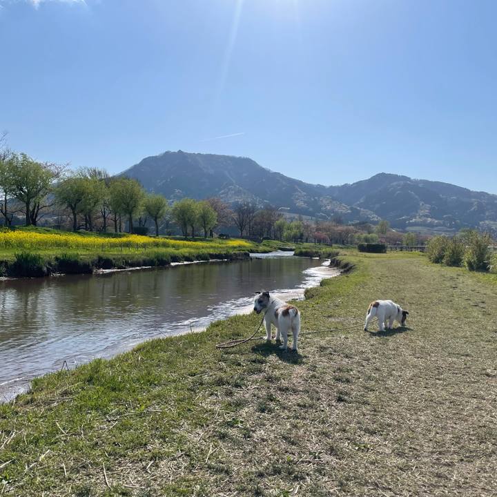 C4d6ed63 d23a 406a a4c1 a104256b71c1 1745222289507