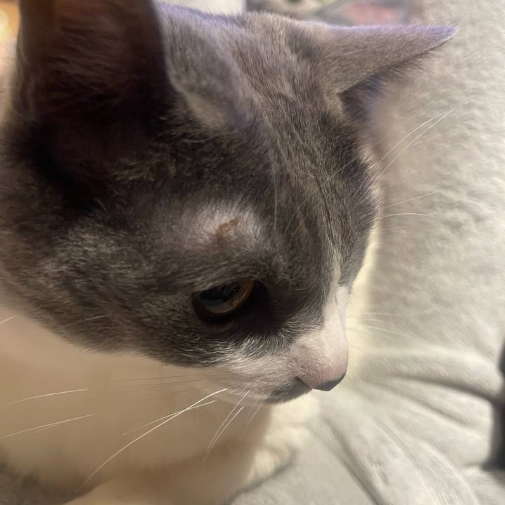 C4d715b7 6987 4291 80f5 fccb36aac7e1 1744293138860