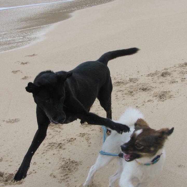 C4d72839 cf69 4259 8310 bc847c786f66 1525241794102