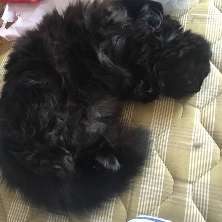 C4d74cf6 8b2e 443e b177 9da42ff876ec 1562140778784