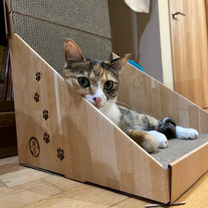 C4d794f1 2e42 42fd aaf9 cf1939f959c2 1716771975280