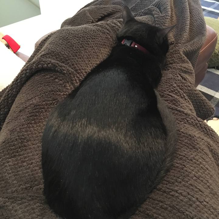 C4d7963e dc22 4135 b8c7 05f4c444ae75 1508384037480