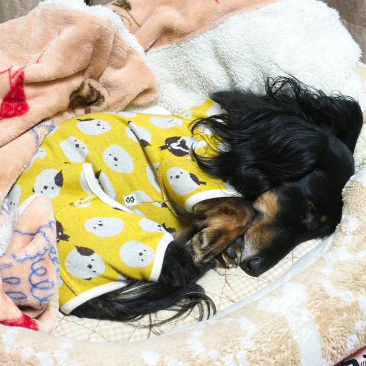 C4d7a738 68bf 4369 bc24 59f4a06a3c07 1675863866901