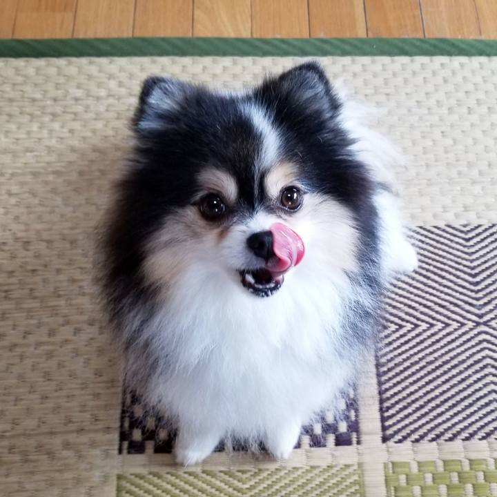 C4d7cf42 48ee 4a7b a5db 373f499c7db5 1597706051259