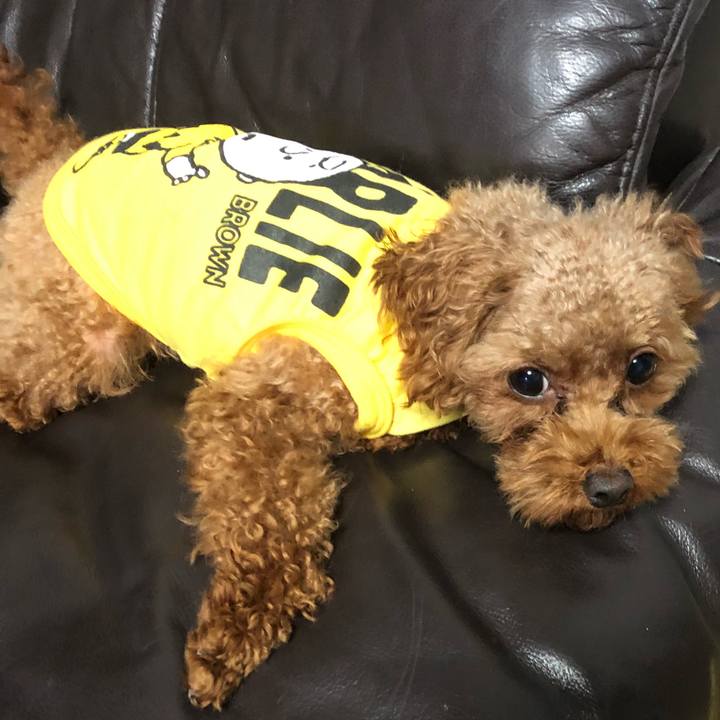 C4d7f966 dca3 4bd2 822b f79388ca9658 1539419858571