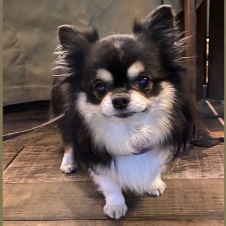 C4d80b3c 55e0 4a09 b7fe 845c92d0b29f 1763812185943