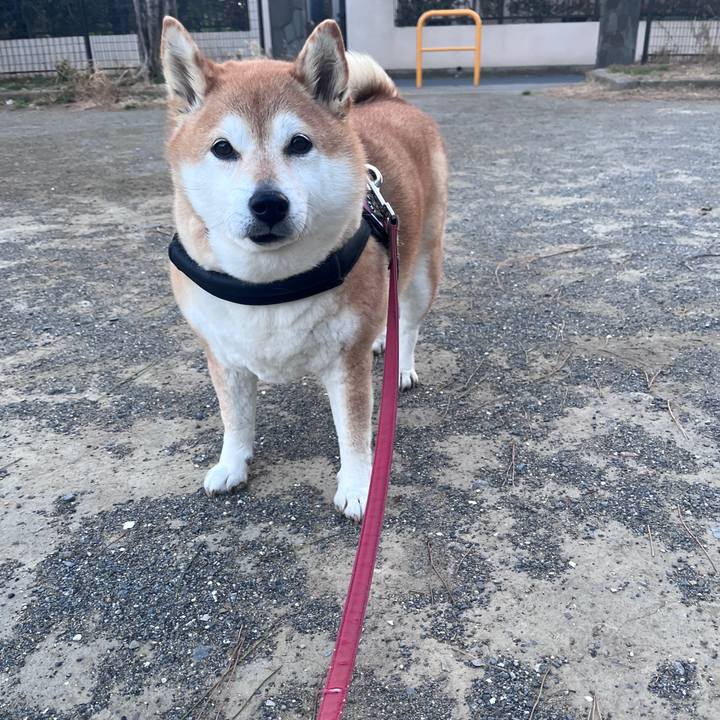 C4d82431 38ba 49f6 b383 3bd7926db27a 1710754531694