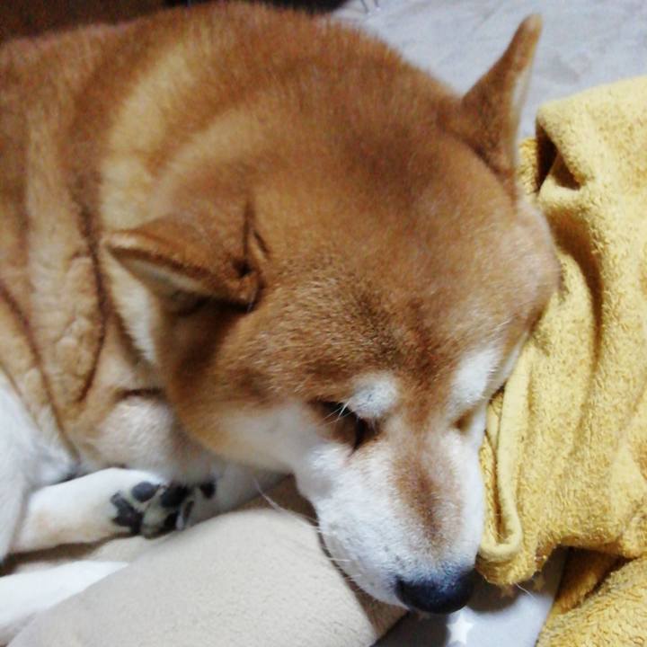 C4d86322 e890 403f b24a 2b65539c2f09 1675259836281