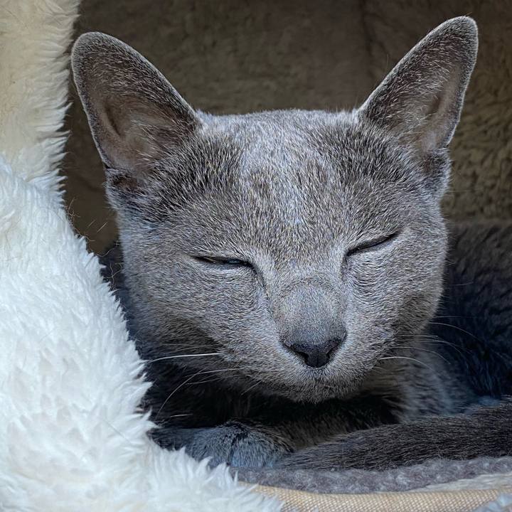 C4d8bbf1 0329 4c42 bb87 3fe7501e099d 1612407632390