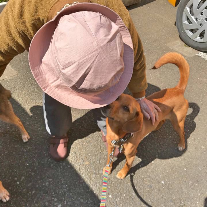 C4d8f7e2 88a3 4b8a a99c 17b6f1a2c496 1521947321946