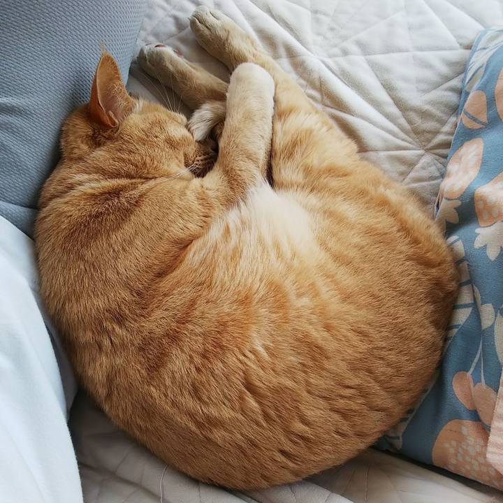 C4d9268c 7218 4c57 ac0c 1faf5c25b865 1650090264058