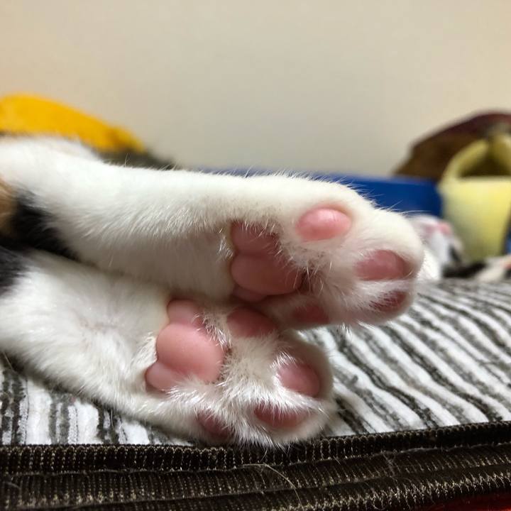 C4d927f4 b9cb 4a00 9810 218635287199 1570192016957