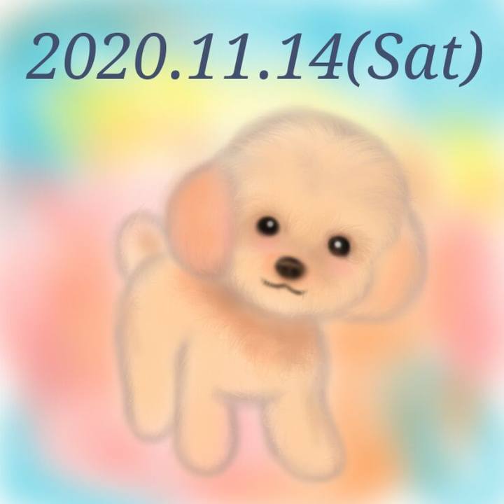 C4d9316b 3ebc 4026 9b37 f977a0e78d70 1605356719722
