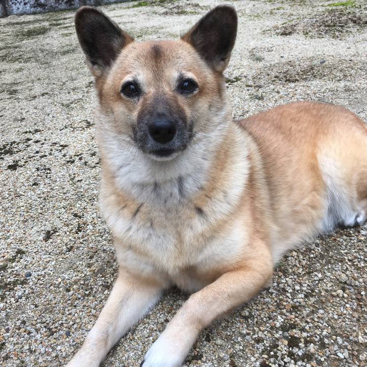 C4d9382b 80ee 49f8 ae81 04924644dda0 1507851879968