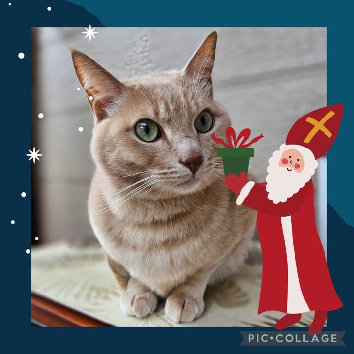 C4d953d7 cf29 4b6e a971 5df7519baff8 1703402378665