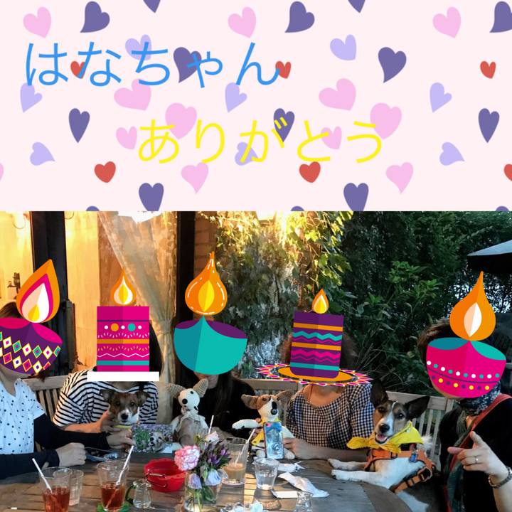 C4d96eb5 ced2 4061 8193 b439fe319b8e 1647217083345