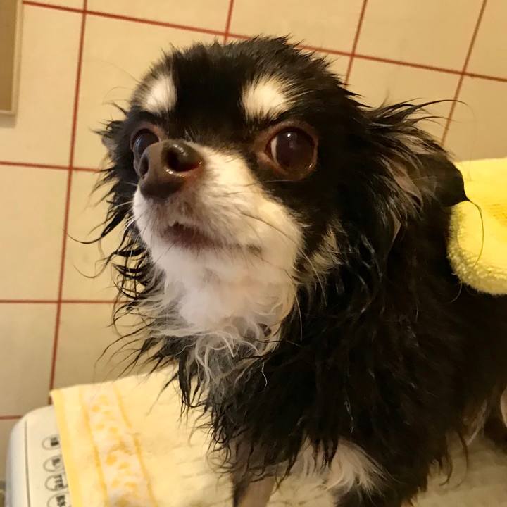 C4d9755a 176d 4070 a184 f4b83b53d96a 1546658061701