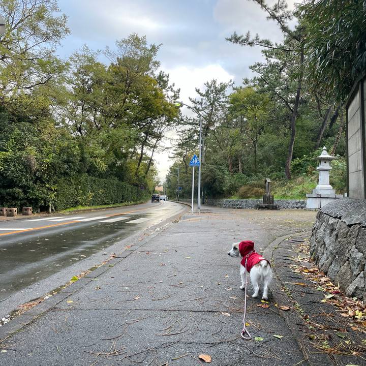 C4d97e94 cc8b 4e1b a2c9 1c85b46663fb 1636588083454