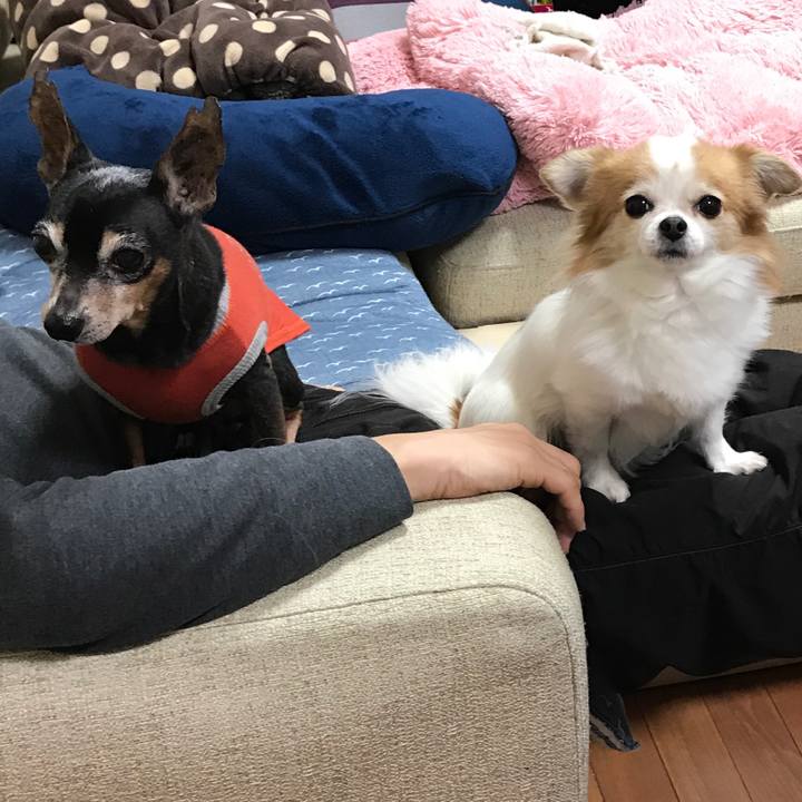 C4d99a3e dcb1 499b af23 1525b88bd43f 1516440239054