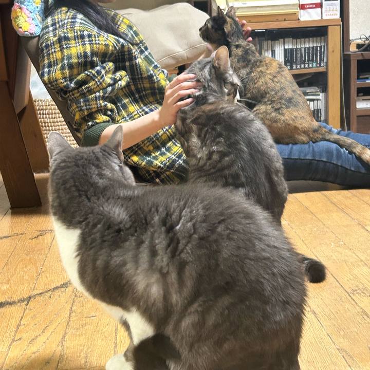 C4d9f73d c060 4528 9e2e 8b2896277d7d 1762431222936