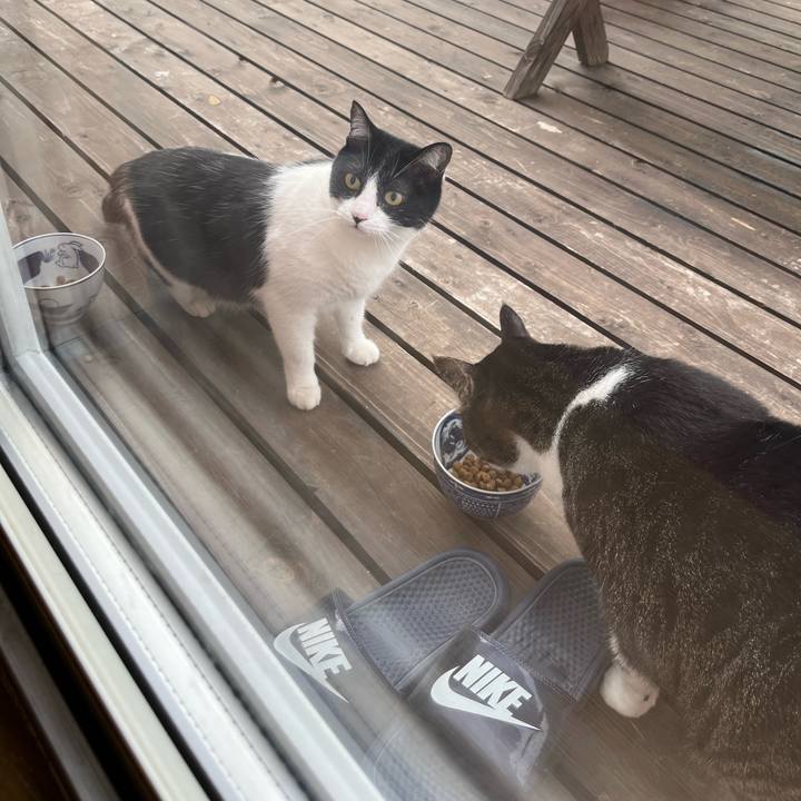 C4da04e8 b952 4ad3 b8a9 a93ccc84b6bb 1653254197329