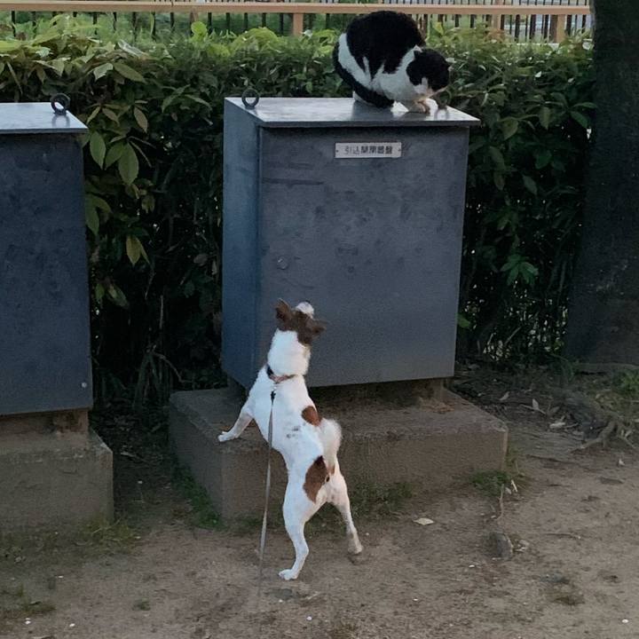 C4da84c1 0315 4734 8847 e7d51918adcd 1617966485310