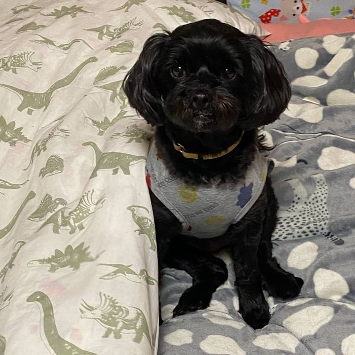 C4dab2df fc64 444c b226 91e79a348373 1589530042567