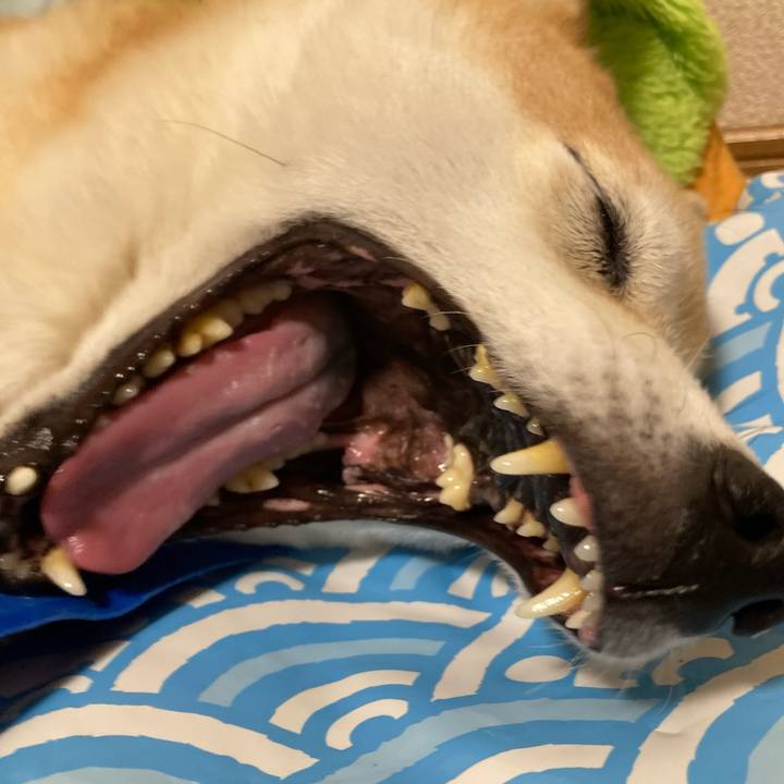 C4db3b29 2e79 4c43 ae4a 2896755b9082 1627722892065