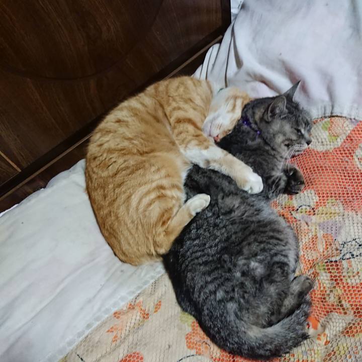 C4db4db4 d050 4a57 b608 db36690b796a 1584191031927