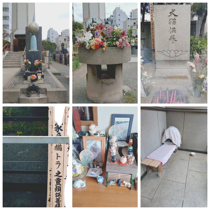 C4db65bd e5fd 4e44 95e0 da2ab11eb50e 1773807867320