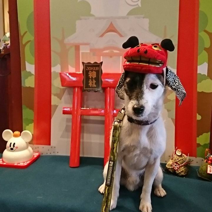 C4db7d11 dd2e 439a 8bdf ff0e818ea245 1514778503604