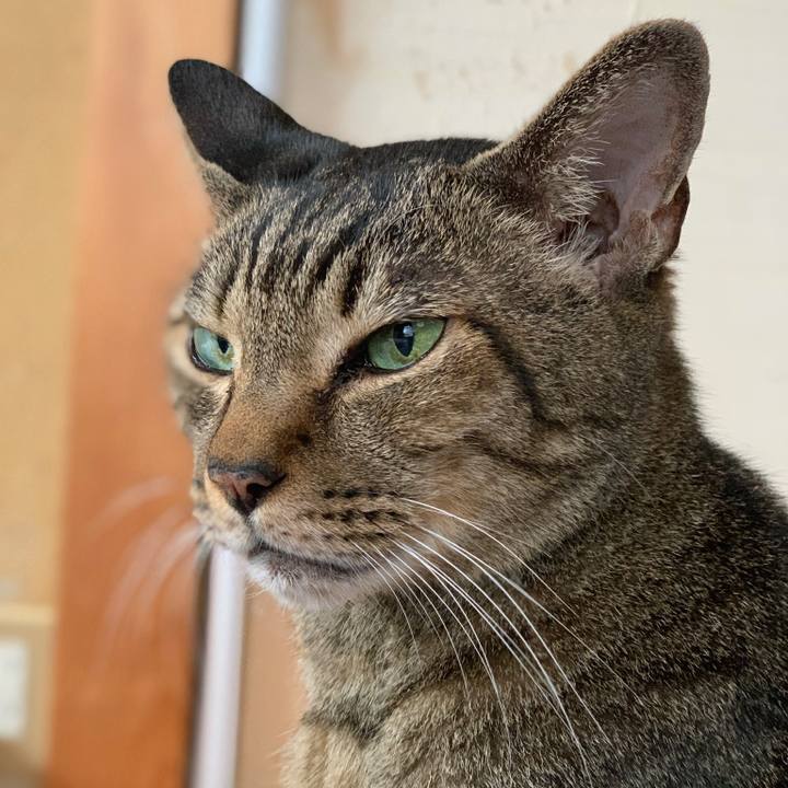 C4db898b e60d 41a2 b31f ce9265563b72 1570325975894