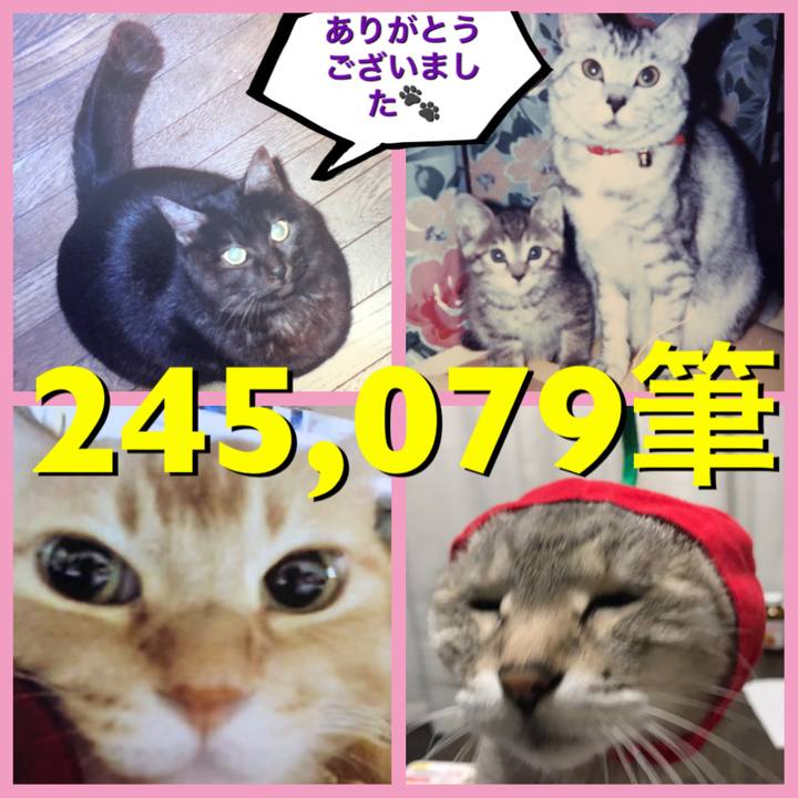 C4dbd490 1dff 4bf0 85d3 476a0c13ee4f 1553673134484