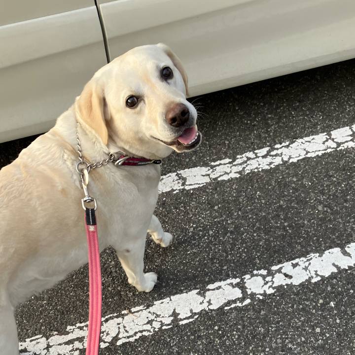 C4dbe12a 40a4 4e8f 97bc 6b25667abe6a 1680703353041