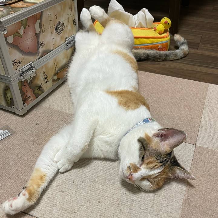 C4dbe42d a6b2 4bfa badf 1fe17bde6a77 1721563683800