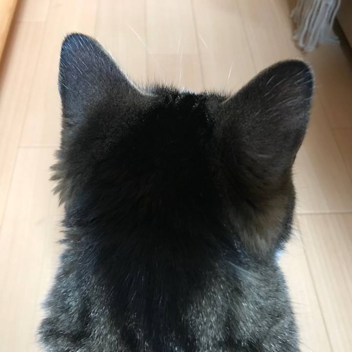 C4dbe442 2173 46b0 b48a 4334fc9bb95a 1563608065738