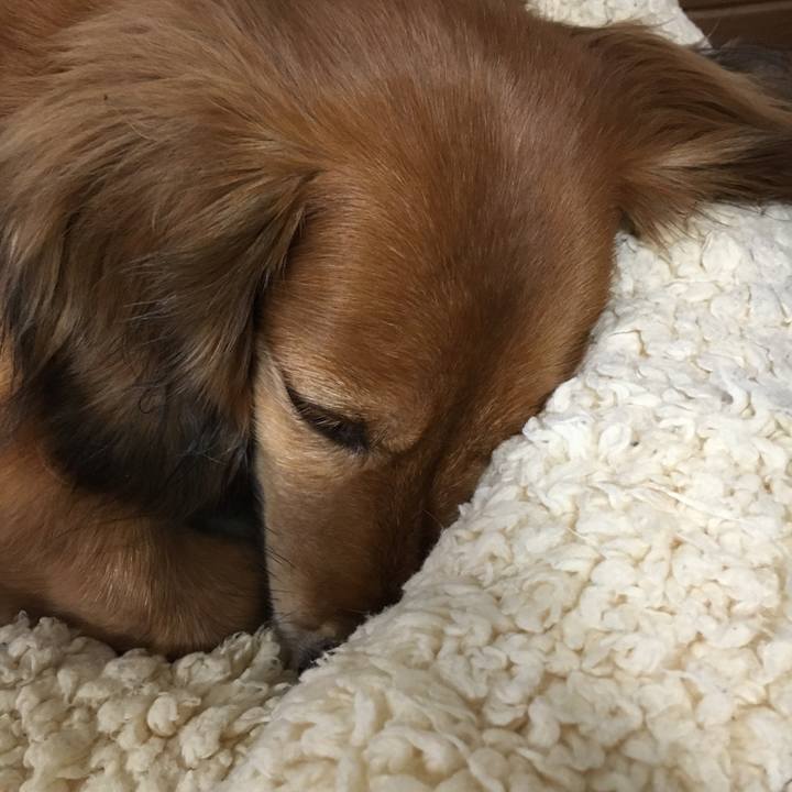 C4dbedad 0113 44a6 86ba ef80c39f3280 1571638224107