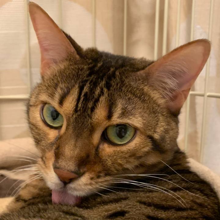 C4dc1e1b 9543 4230 a61f dc694cd26ef2 1546988898999