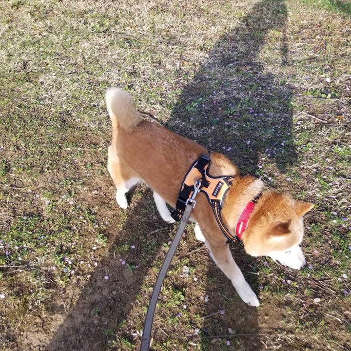 C4dc20bf 8a4b 439f afc4 4c2a731df6e5 1713513757076