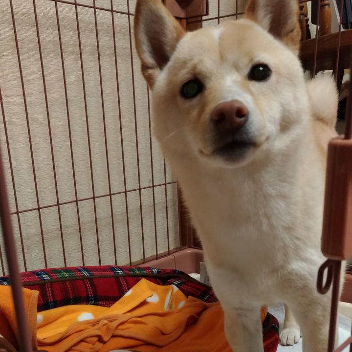 C4dc39ce c0dd 40bf ae04 dac524dbc208 1517569742324