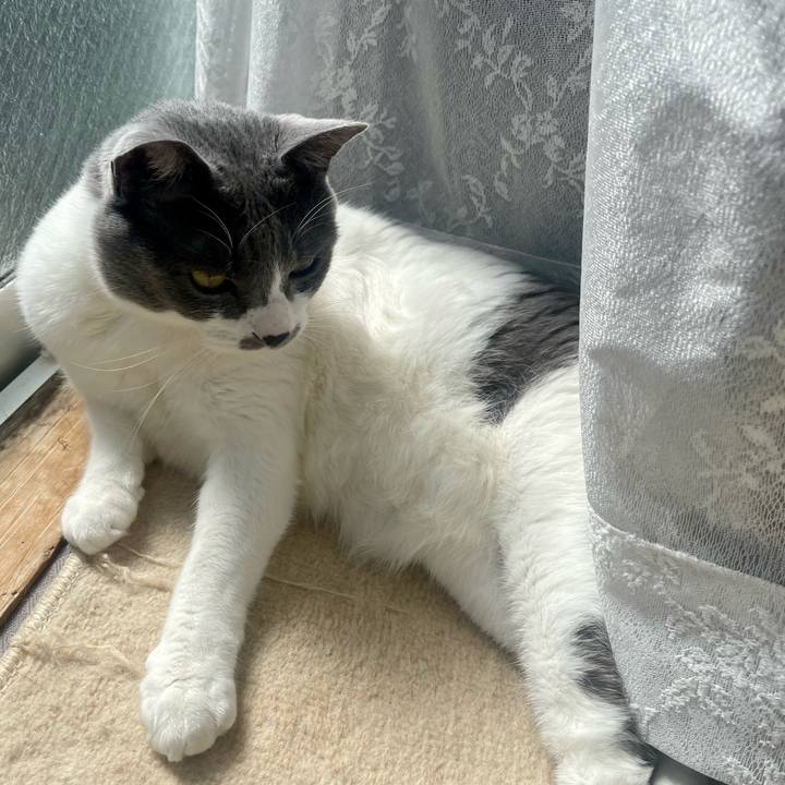 C4dc45df 75a5 44fa bf67 55b20ca07aff 1678084221139