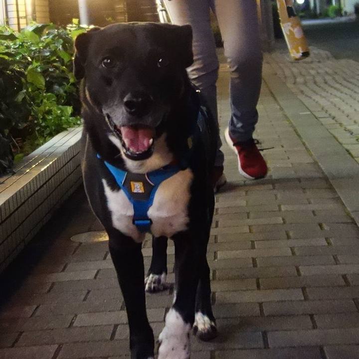 C4dc829f 372d 4f24 907e 8312a4f6a7ce 1667041854898