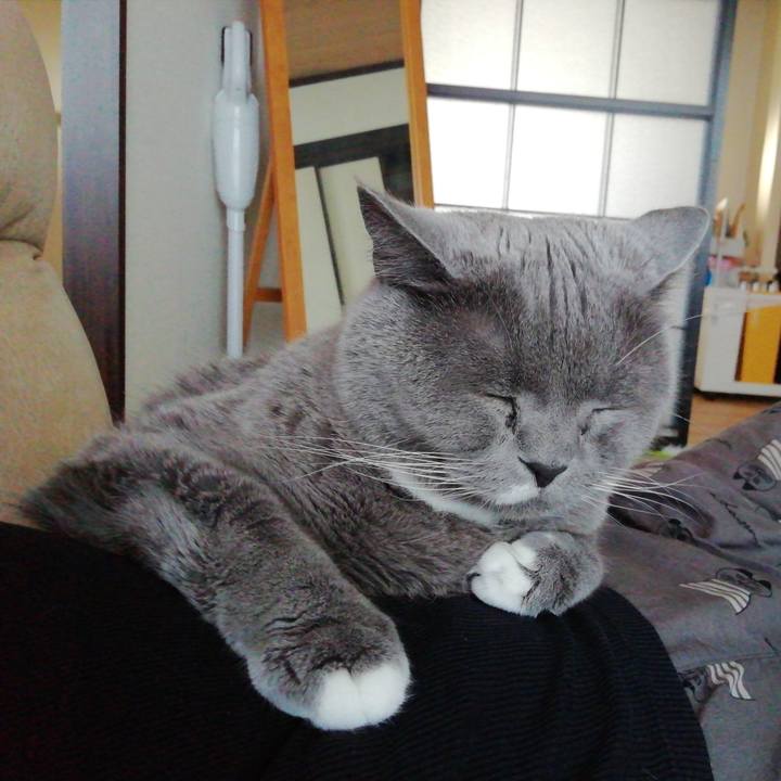 C4dcd689 9c7e 4578 a9ec e3b55b33c0f6 1714811179656