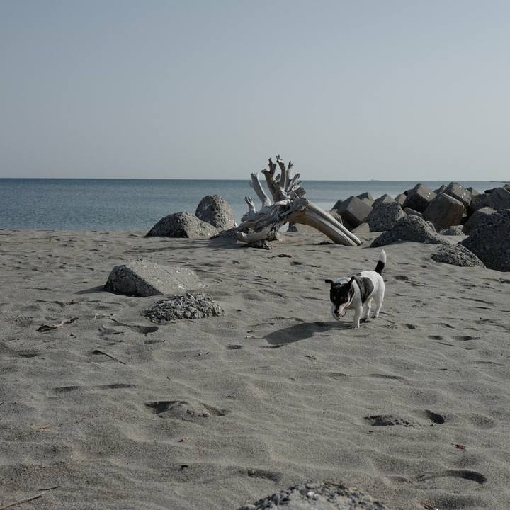 C4dcdea7 5b43 43ee bf71 a18de88f485a 1527220598701