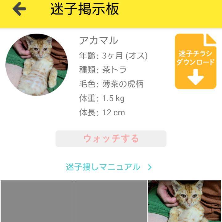 C4dcea17 b95b 46f2 b621 d577f62feafe 1629633960975