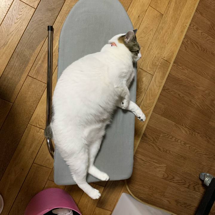 C4dcf748 ccf7 4ebd b61a 473d9002b4ce 1613426236399