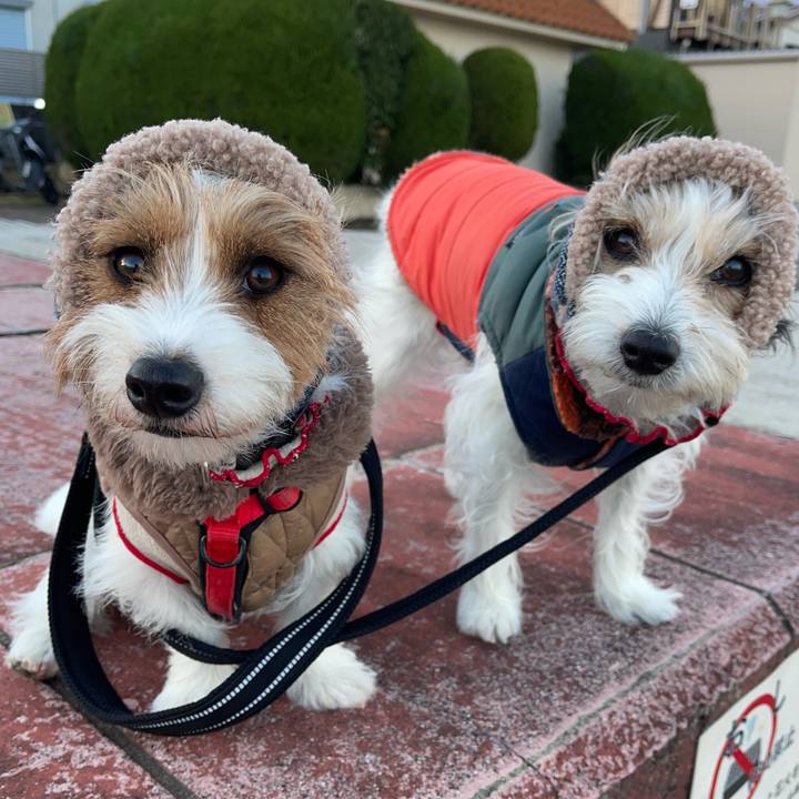 C4dcf875 2057 4d09 a1a5 6a0a3e7384e7 1766735944100