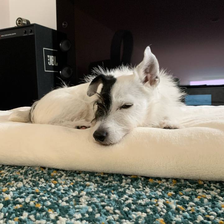 C4dd1def ebcb 4039 a4af 82964448db80 1730174194463